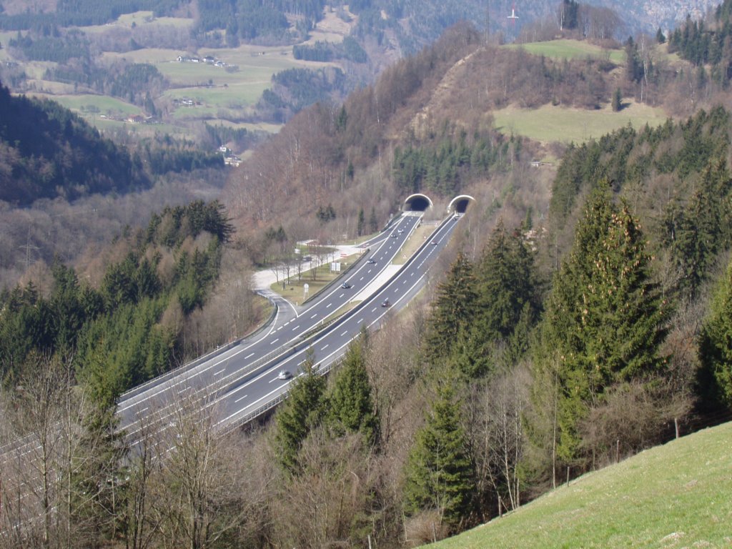 p3180059.jpg