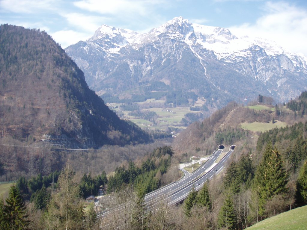 p3180060.jpg