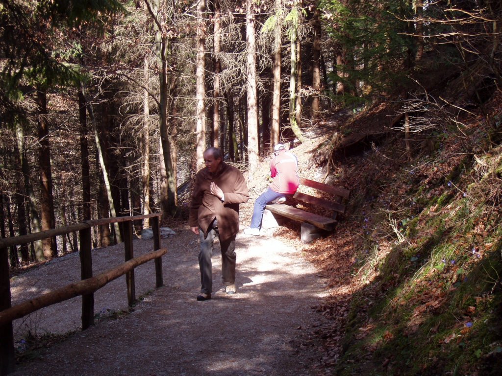 p3180066.jpg