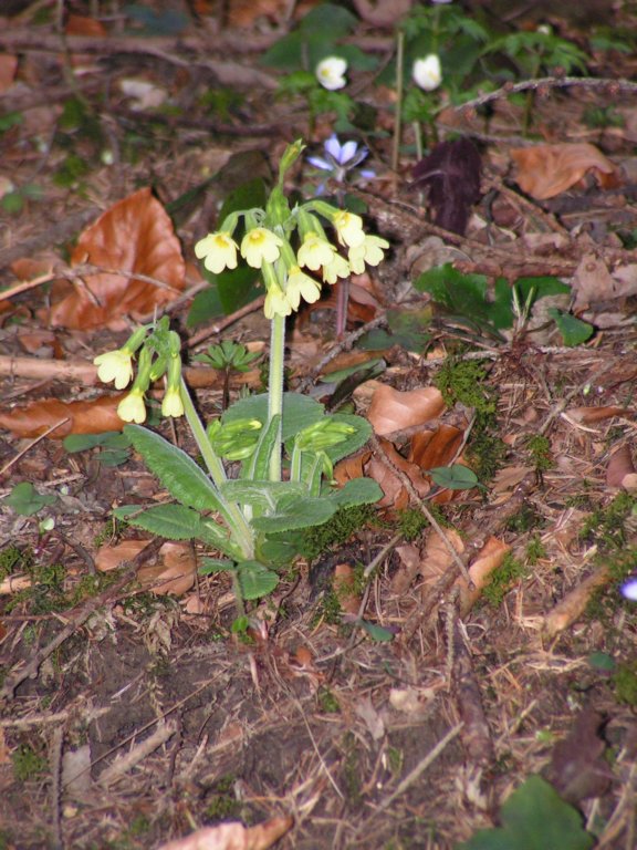 pict0118.jpg