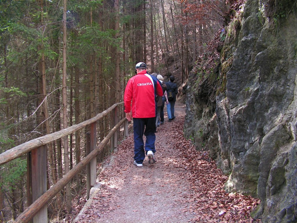 pict0142.jpg